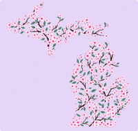 "Michigan Cherry Blossom"Women's Striped Double Hood Pullover