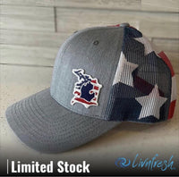 "Michigan D Flag"Trucker Hat