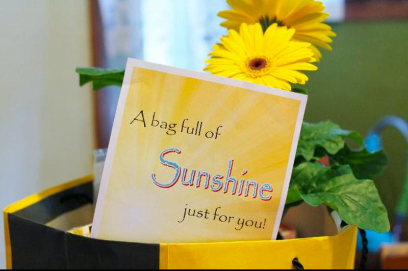 Spring Surprise Package