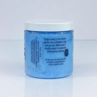 Lake Michigan Sugar Scrub Handcrafted 8oz