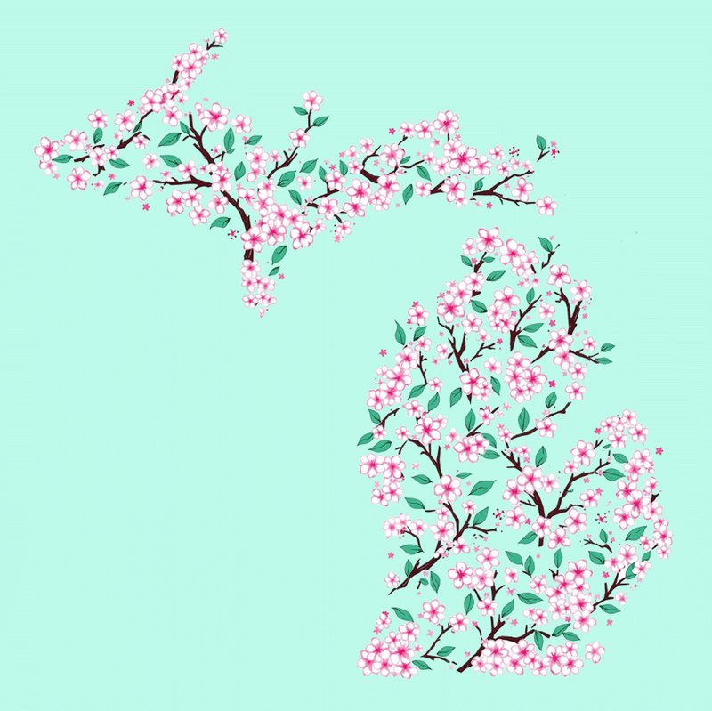 "Michigan Cherry Blossom"Relaxed Fit Long Sleeve Unisex T-Shirt