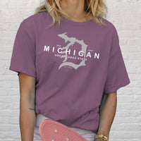"Michigan D Established 1837"Relaxed Fit Stonewashed T-Shirt